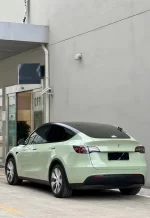 PET Khaki Green YC027