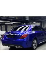 PET Metal Blueberries YC073