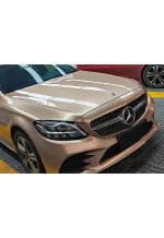 PET Metal Champagne Gold YC069