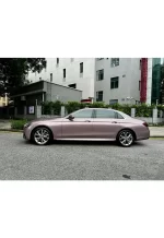 PET Metal Iceberry Pink YC065