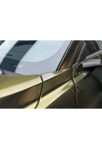 PET Metal Midnight Gold YC074