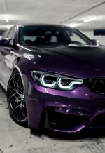 PET Metal Midnight Purple YC076