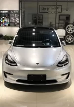 PET Metal Silver1 YC067