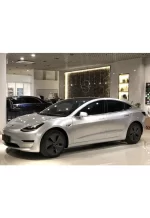 PET Metal Silver1 YC067