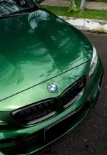 PET Metal Sonoma Green YC075