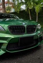 PET Metal Sonoma Green YC075