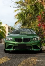 PET Metal Sonoma Green YC075