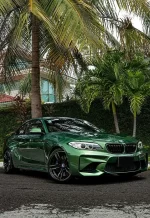 PET Metal Sonoma Green YC075