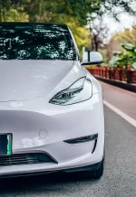 PET Misty Gray Purple YC153 - Image 8