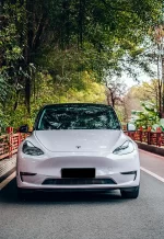 PET Misty Gray Purple YC153 - Image 3