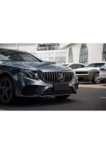 PET Moonlight Stone gray(Benz) YC042