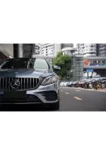 PET Moonlight Stone gray(Benz) YC042