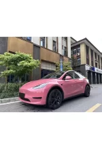 PET Morganite Red YC139 - Image 8