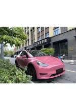 PET Morganite Red YC139 - Image 5