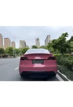 PET Morganite Red YC139 - Image 6