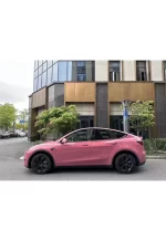 PET Morganite Red YC139 - Image 4