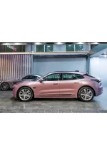 PET Passion Pink YC089 - Image 8