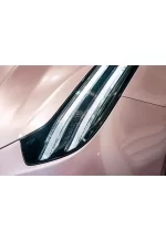 PET Passion Pink YC089 - Image 6