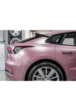 PET Passion Pink YC089 - Image 4