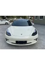 PET Pepper White YC132 - Image 3