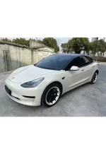 PET Pepper White YC132 - Image 7