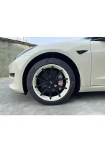 PET Pepper White YC132 - Image 4