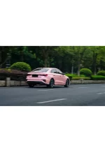 PET Phantom Pink YC112 - Image 6