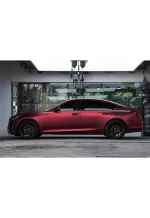 PET Romani Red YC135 - Image 8