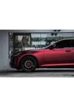 PET Romani Red YC135 - Image 5