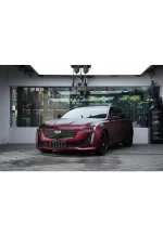 PET Romani Red YC135 - Image 3