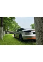 PET Star Vein Silver (Land Rover)6 YC011