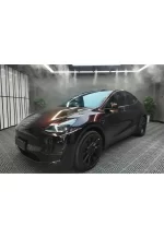 PET Starlight Black Turn Red YC097 - Image 4