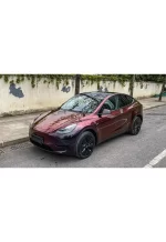 PET Streaming Black Turn Red YC137 - Image 4