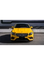 PET Sunflower Yellow YC040