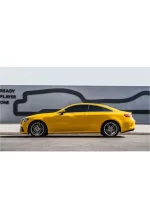 PET Sunflower Yellow YC040