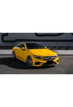 PET Sunflower Yellow YC040