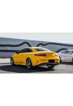 PET Sunflower Yellow YC040