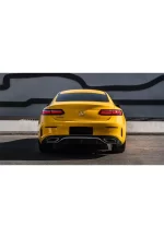 PET Sunflower Yellow YC040