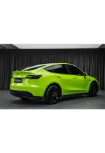 PET Super Flash Green YC113 - Image 6