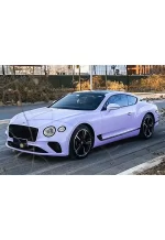 PET Xingdai Purple YC090 - Image 3