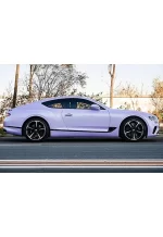 PET Xingdai Purple YC090 - Image 6