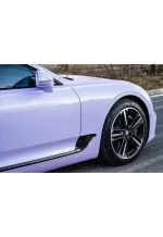 PET Xingdai Purple YC090 - Image 5