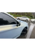 PET Yuanfeng Blue Turn Gold YC121 - Image 7