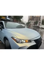 PET Yuanfeng Blue Turn Gold YC121 - Image 8