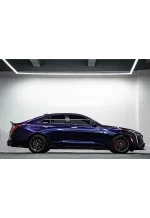 Brilliant Black Turn Purple YB069 - Image 7