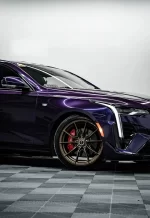 Brilliant Black Turn Purple YB069 - Image 3