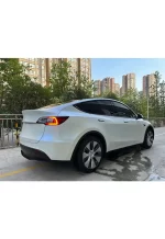 Ceramic White Turns Blue YB117 - Image 6