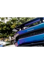 Chameleon Purple Turn Blue (Bright) YB019 - Image 8