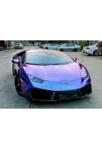 Chameleon Purple Turn Blue (Bright) YB019 - Image 6