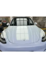 Chameleon White Turn Gold (Matte) YB025 - Image 8